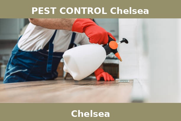 PEST CONTROL Chelsea